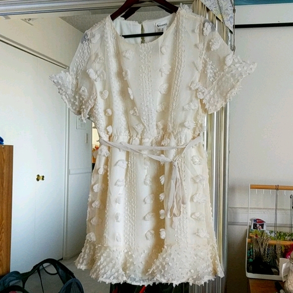 Cream Floral Applique Maternity Flounce Dress - Picture 5 of 6